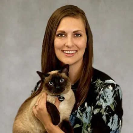 Dr. Allison Kowlowitz-Taylor holding a brown cat in front of a grey backdrop